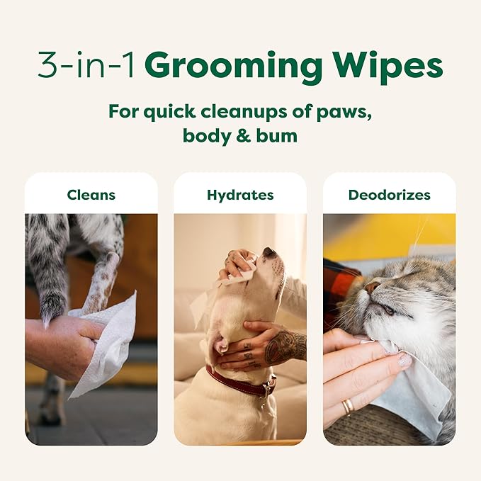 Earth Rated Pet Wipes for Dogs and Cats, Hypoallergenic, 3-in-1 Cleaning, Deodorizing and Hydrating, for Grooming Paws, Body and Butt, New White Tea and Basil Scent, 100 Count
