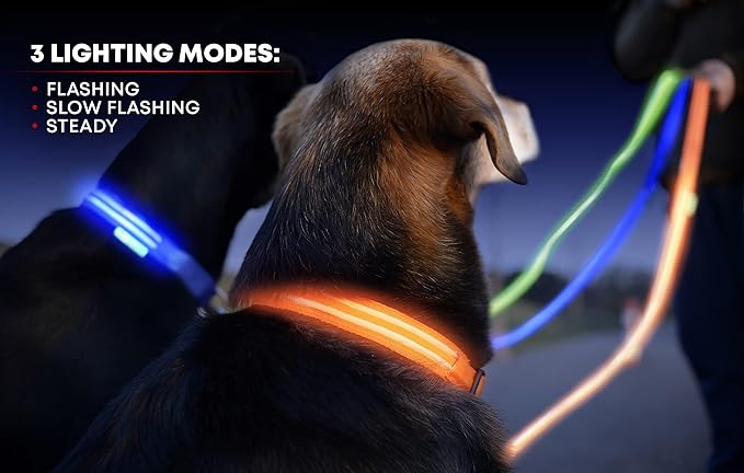 Illumiseen LED Dog Collar USB Rechargeable - Bright & High Visibility Lighted Glow Collar for Pet Night Walking - Weatherproof, in 6 Colors & 6 Sizes (Blue XX-Small)
