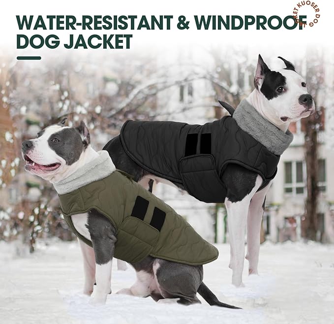 Kuoser Dog Jacket, Warm Dog Coats for Small Dogs, Doggie Winter Jacket Cold Weather Coats with Leash Hole, Winter Coat Apparel for Yorkie Chihuahua, Green XS