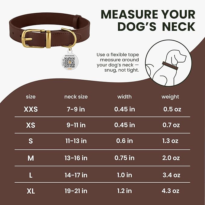 BRONZEDOG Leather Dog Collar with Metal Buckle Durable Basic Pet Collars for Small Medium Large Dogs (11-13 Inch (Pack of 1), Dark Brown & Gold Buckle)