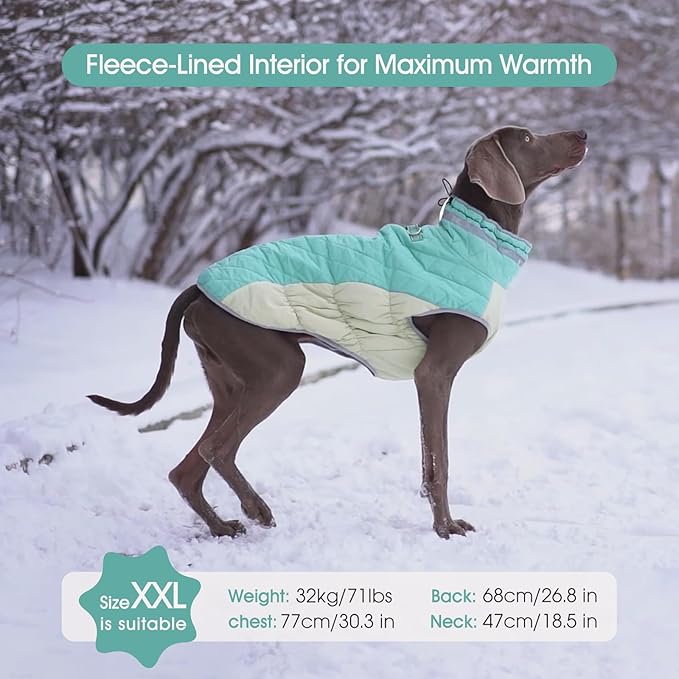 FUAMEY Dog Coat for Small Dogs,Waterproof Dog Winter Jacket with Harness Built in Puppy Cold Weather Coats Reflective Pet Vest with Zipper Warm Fleece Dogs Snowsuit Windproof Mint Green S