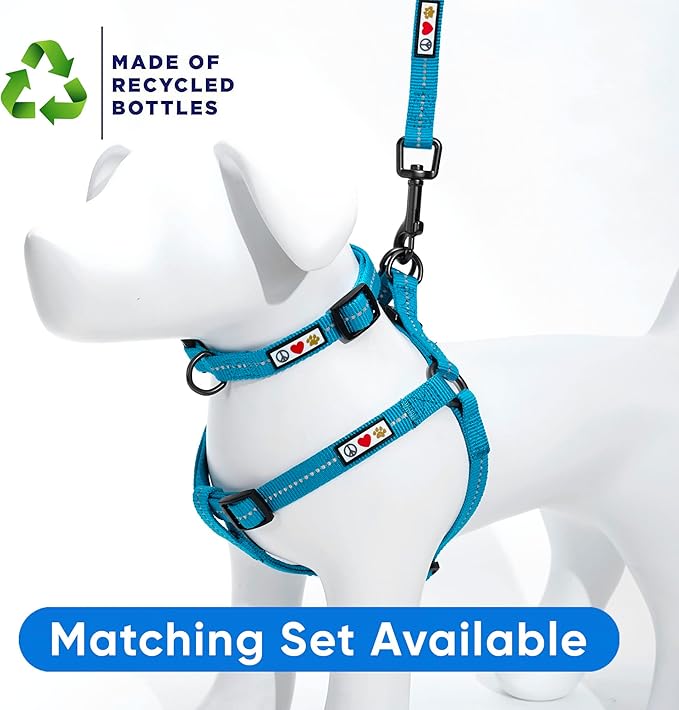 Pawtitas 6 FT Recycled Dog Leash with Reflective Stitched Thread Stitched on Side| Small Reflective Dog Leash Made from Plastic Bottles Collected from Oceans – Teal 6 ft Dog Leash