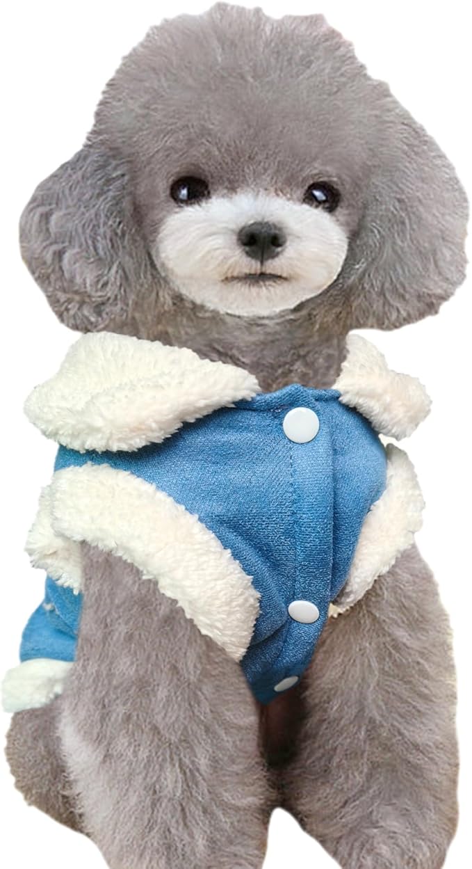 Jecikelon Bowtie Dog Cold Weather Coat Fleece Lining Warm Pet Puppy Turtleneck Dogs Winter Clothes for Small Dogs with D-Ring (Blue, X-Small)