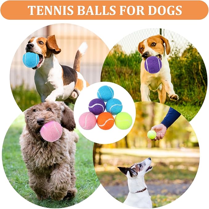 DIVINA VITAE 20Pcs Small Tennis Balls for Dogs, 2 Inch Colorful Mini Tennis Balls Fits All 2 Inch Dog Ball Launchers