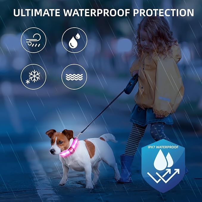 Super Bright LED Dog Collar - Fully Waterproof & Adjustable Glow Collar - USB-C Rechargeable for Night Walking, Safety - Flashing Lighted Collar for Dogs(Pink,M)