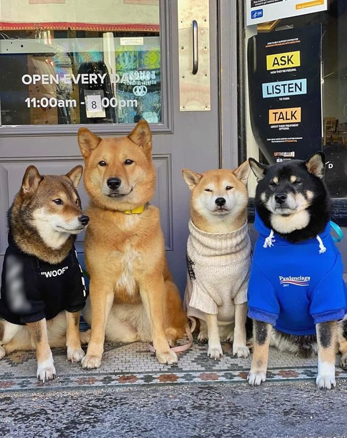 ChoChoCho Stylish Streetwear Blue Dog Sweatshirt Tracksuits, Cats Hoodies, Dog Outfit for Cat Puppy Small Medium (3XL)