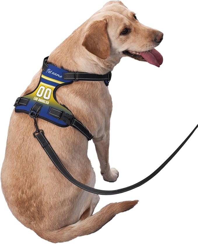 Personalized Los Angeles Dog Harness with Reflective Stripes Custom Name and Number Dog Vest Harness with Pet Traction Rope for Small Medium Large Dog