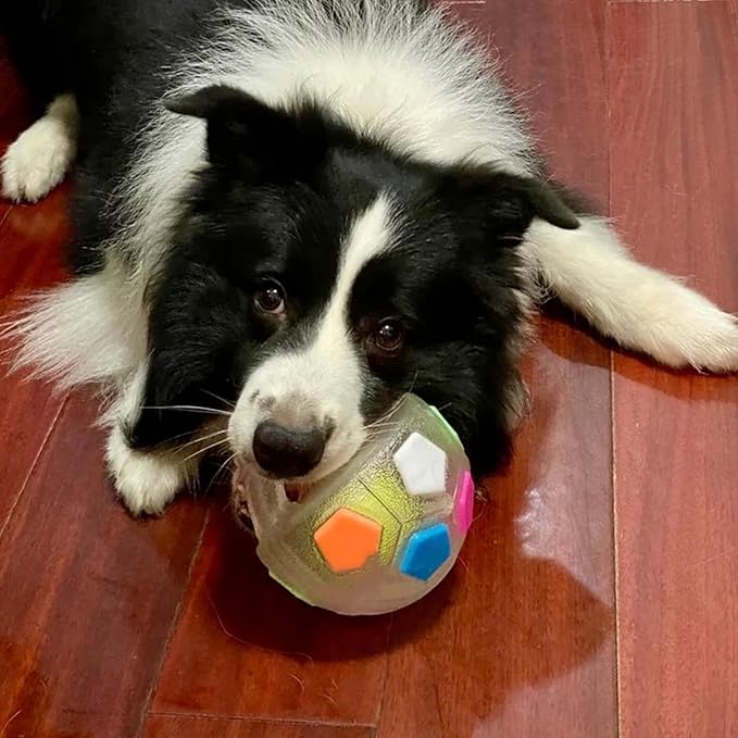 Dog Calming Ball with Handle for Dogs, 2026 New Interactive Football Shape Dog Toy, TPR Chewable Material, Squeaky, Water Play, Training & Outdoor Games (White+Black-B)