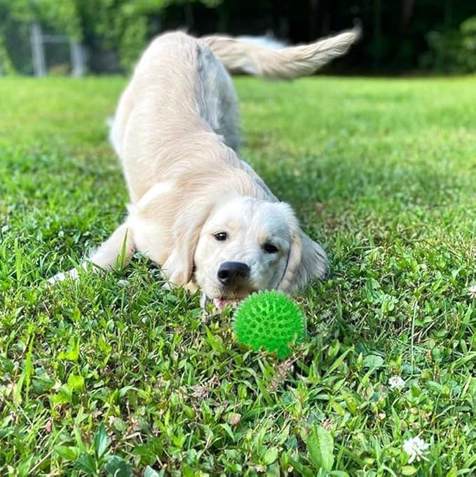 Cutie's PetBox Squeaky Rubber Spike Toy Ball for Small Dogs (2.5 Inch, Green)