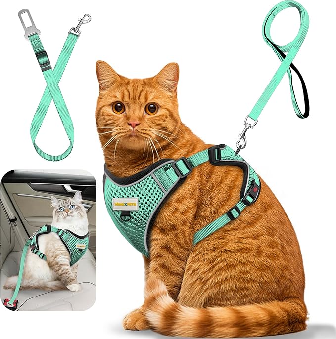 Cat Harness and Leash for Walking, Retractable Cat Harnesses and Leash Set Escape Proof, Breathable Soft Kitten Small Large Harness for Travel Training and Walking, Green, XXS