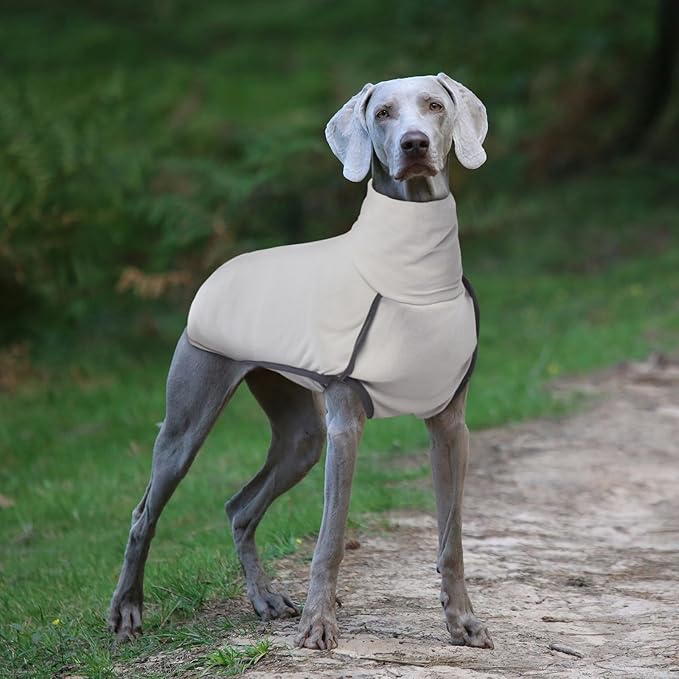 ROZKITCH Dog Winter Coat Soft Pullover Pajamas, Pet Windproof Warm Cold Weather Jacket Vest Cozy Jumpsuit Apparel Outfit Clothes for Walking Sleep Grey 2XL