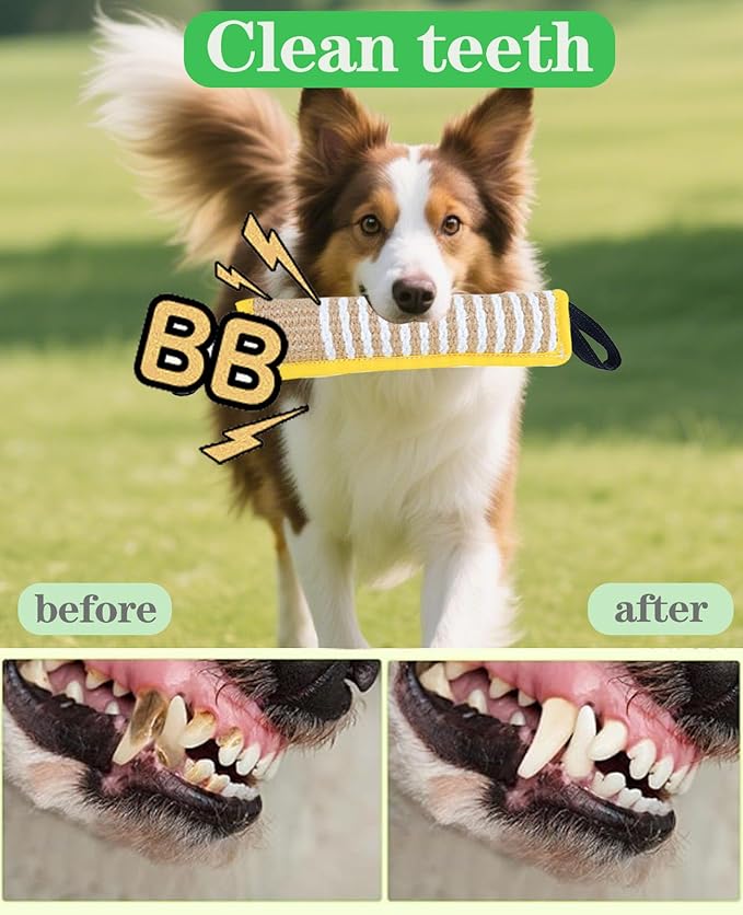 Clysoru Tug Toy for Dogs Squeaky Toy with 2 Strong Handles Lasting Training Equipment Puppy to Large Dog Interactive Toys of War Pull Indestructible Rope Pet Crinkle Teething (Yellow)