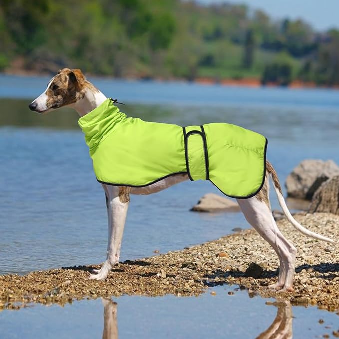 Dog Raincoat with Reflective Bar, Rain/Water Resistant, Adjustable Vest - Dog Raincoats for Greyhounds, Lurchers and Whippets - Light Green - S