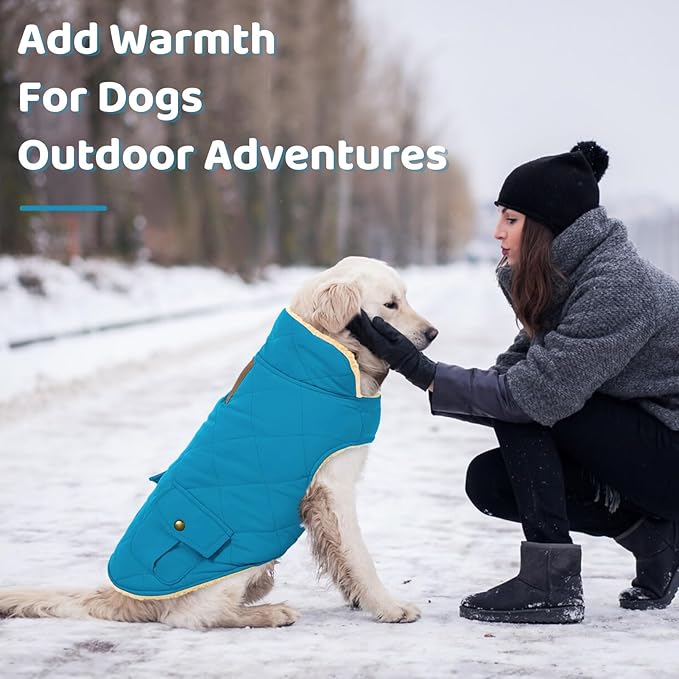 Queenmore Dog Winter Coat Warm Puffer Jacket Waterproof Plush Lining Thermal Cold Weather Vest for Small Medium Large Dogs, Windproof Easy On Pet Jacket Blue L