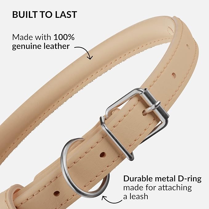 CollarDirect Rolled Leather Dog Collar, Soft Padded Round Puppy Collar, Handmade Genuine Leather Collar Dog Small Large Cat Collars 13 Colors (6-7 Inch, Beige Smooth)