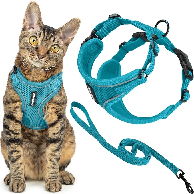 Best Pet Supplies Voyager Escape Proof Cat Harness and Leash Set with Reflective Stitching, Neoprene Handle 5ft - Supports Small, Medium and Large Cats, Kittens - Turquoise, M (Chest: 16.5-19.5")