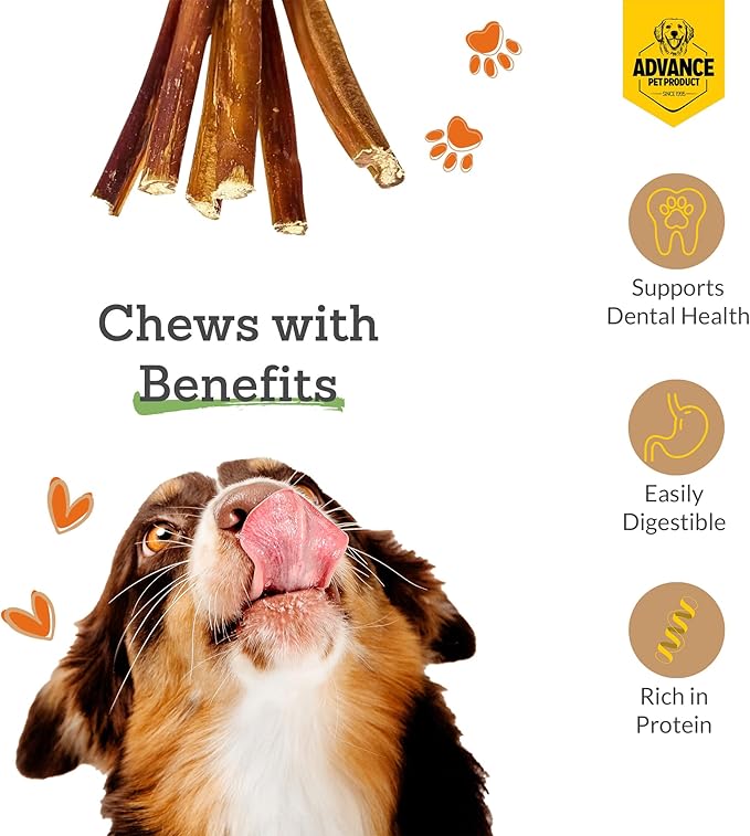 Advance Pet Products 12 Inch Bully Sticks (Pack of 5) - 100% Beef, Odor Free Dog Chews for Aggressive Chewers - Long Lasting, Gluten-Free, Easy to Digest, High Protein - for Small, Medium, Large Dogs