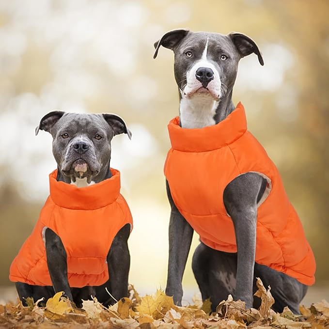 Kuoser Dog Coat Puffer Vest, Warm Dog Jacket Windproof Dogs Cold Weather Coats Pet Snowsuit Padded Vests, Lightweight Puppy Winter Clothes for Small Dogs, Button Design, Easy On/Off, Orange XS
