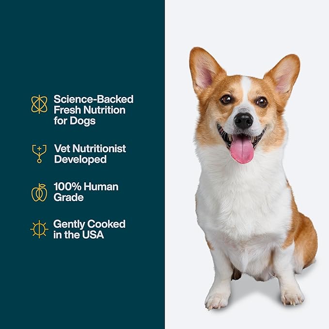 JustFoodForDogs Pantry Fresh Wet Dog Food, Complete Meal or Dog Food Topper, Beef & Russet Potato Human Grade Dog Food Recipe - 12.5 oz (Pack of 6)