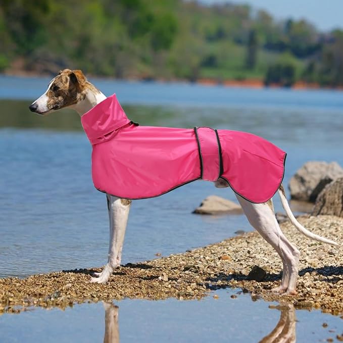 Dog Raincoat with Reflective Bar, Rain/Water Resistant, Adjustable Vest - Dog Raincoats for Greyhounds, Lurchers and Whippets - Pink - L