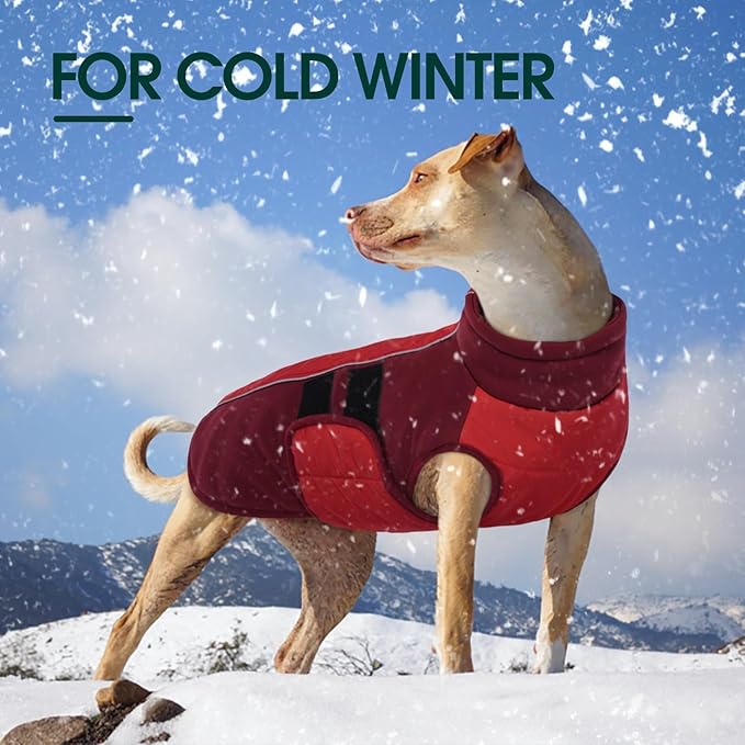 Kuoser Dog Jackets for Small Dogs, Warm Dog Coat with Harness Built in, Puppy Winter Jacket Pet Clothes for Cold Weather, Reflective Waterproof Doggie Winter Vest for Pug Dachshund, Red S