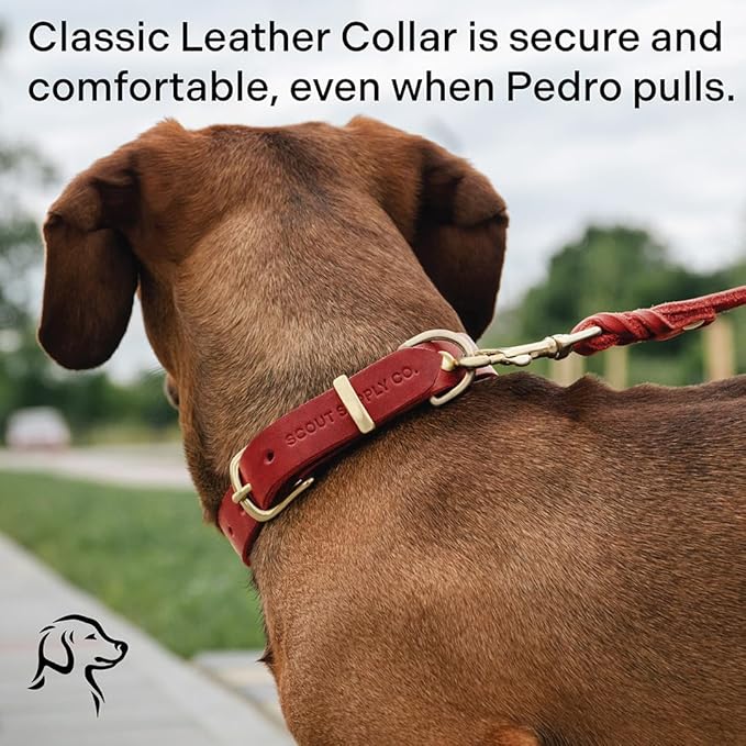 Classic Genuine Leather Dog Collar | Dog Collars for Medium Dogs, Small Dogs, Large Dogs & Extra Large Dog | Wide Dog Collar | Heavy Duty Collar (Red, Large)