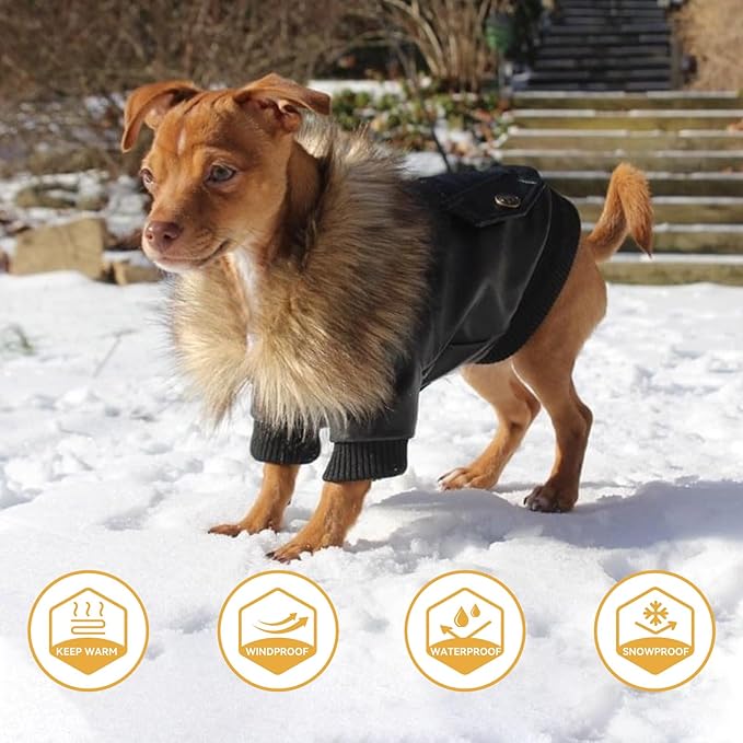 PETLESO Dog Coat for Small Dogs, Dog Leather Jacket Waterproof Windproof, Double Layer Warm Dog Winter Coat with Plush Lined, Black XL
