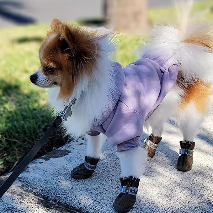 Jecikelon Winter Dog Hoodie Sweatshirts with Pockets Warm Dog Clothes for Small Dogs Chihuahua Coat Clothing Puppy Cat Custume (Purple, XX-Small)
