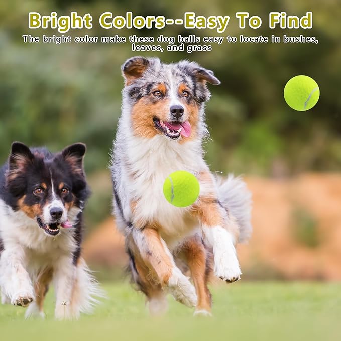 Magicorange 6 Pack Small Tennis Balls, 2 inch Squeaky Tennis Ball for Dogs,Colorful Easy Catching Squeaky Dog Balls with Mesh Bag for Easy Transport (Multicolor)
