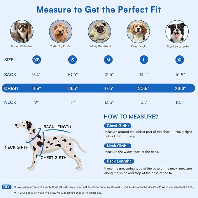 Queenmore Knitted Pullover Dog Sweater,Turtleneck Pet Cat Sweater,Cold Weather Puppy Clothes Stitching Knitwear with Leash Hole for Small Medium Dogs(Royal Blue,M)