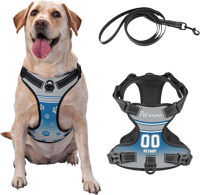 Custom Detroit Dog Harness with Reflective Stripes Personalized Name and Number Dog Vest Harness with Pet Traction Rope for Small Medium Large Dog