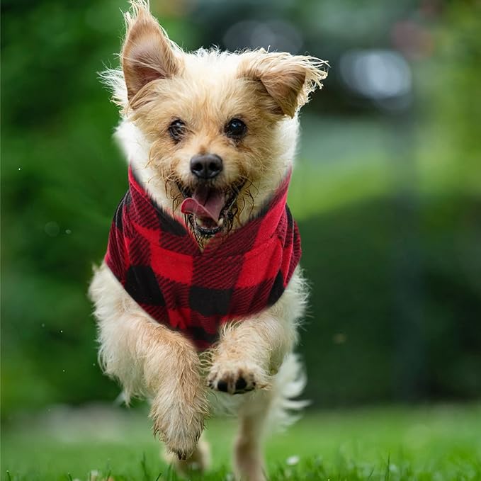 Kama Bridal 3 Pack Dog Coat - Spring, Autumn, Winter - Fleece Vest for Cats & Small/Medium Dogs - Red, Pink, Purple Plaid (XXXS)