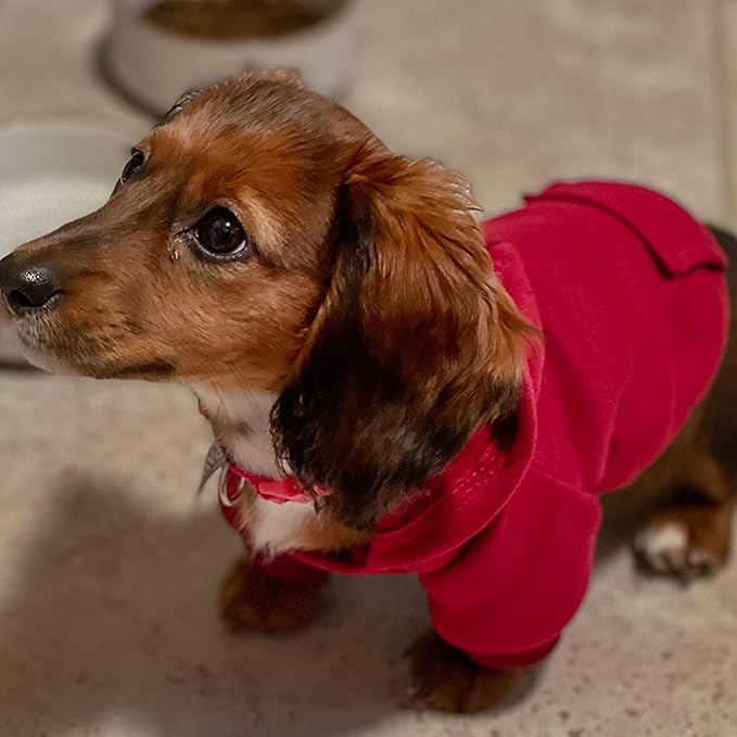 Jecikelon Winter Dog Hoodie Sweatshirts with Pockets Warm Dog Clothes for Small Dogs Chihuahua Coat Clothing Puppy Cat Custume (Wine red, X-Large)