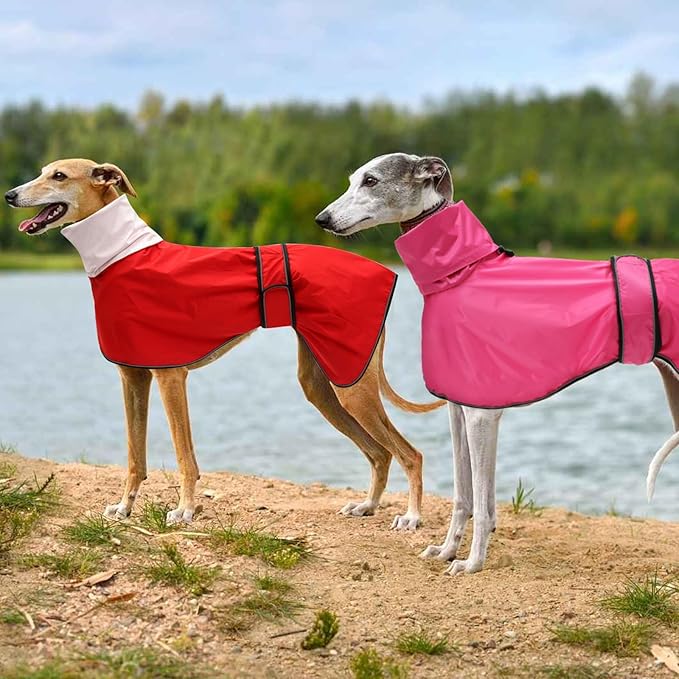 Dog Raincoat with Reflective Bar, Rain/Water Resistant, Adjustable Vest - Dog Raincoats for Greyhounds, Lurchers and Whippets - Pink - XL