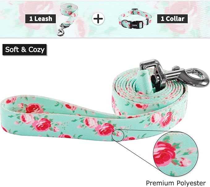 Ihoming Dog Collar and Leash Set for Daily Outdoor Walking Running Training, Floral Spring Design for Medium Boys Girls Dogs Cats Pets, M-Up to 45LBS