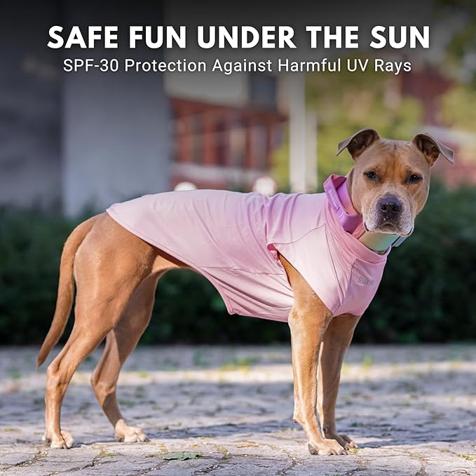 Spark Paws Sunblock Dog T-Shirt, SPF30 Protection, Lightweight Breathable Quick Dry for Dogs with Sensitive Skin - Purple & Pink (Set of 2) - S