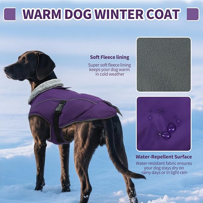 DENTRUN Medium Dog Winter Jacket - Warm Reflective Windproof Coat, Adjustable Neck & Snap Closure, Water Repellent Thick Fleece Vest, Fleece Lined for Beagle Pug, Purple, M