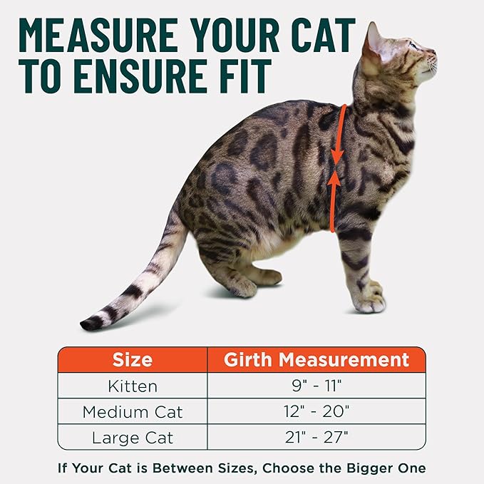 Houdini™ Escape Proof Kitten Harness and Leash Set by OutdoorBengal – Orange, Small Cat Harness for Walking