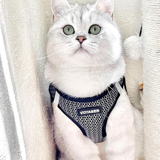 Best Pet Supplies Voyager Step-in Air Harness - All Weather Mesh, Reflective, No Pull Harness for Dogs, Cats - Secure with Hook & Loop Fastener, Buckle, Double D-Rings - Tone, M