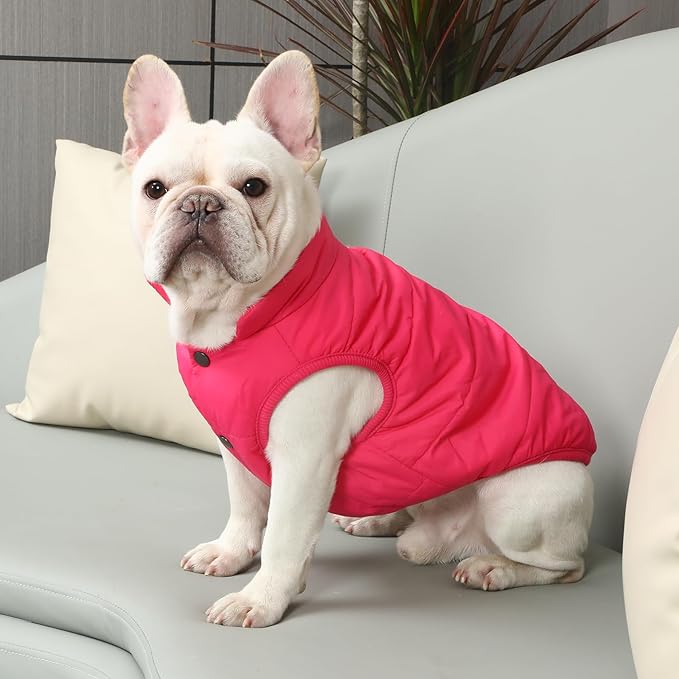 2 Layers Fleece Lined Warm Dog Jacket for Puppy Winter Cold Weather,Soft Windproof Small Dog Coat,Pink XS