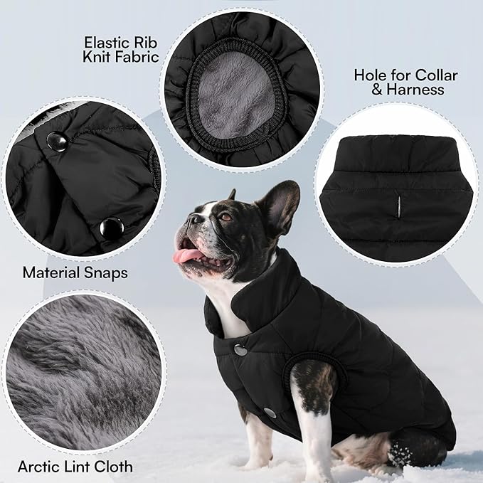 ASENKU Windproof Dog Winter Coat Waterproof Fleece Jacket Cold Weather Pet Apparel for Small Medium Large Dogs (Black, L)