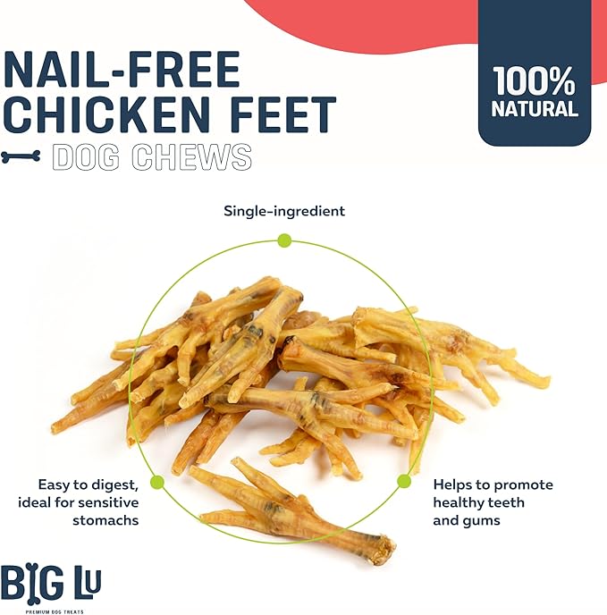 Big Lu – Nail-Free Chicken Feet Dog Chews, 100% Natural Single-Ingredient Treats, Rawhide-Free, Long-Lasting, Rich in Glucosamine and Chondroitin for Joint Health (30 Count, Chicken Feet)