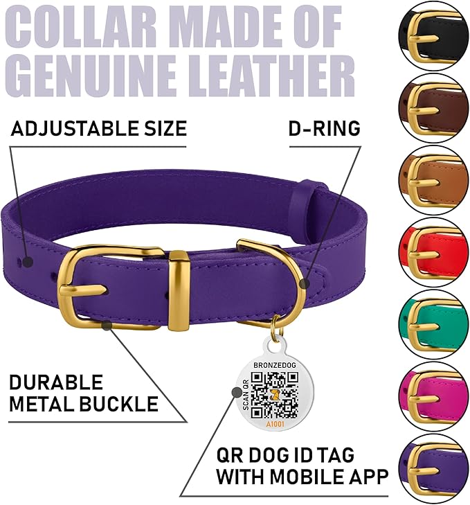 BRONZEDOG Leather Dog Collar with Metal Buckle Durable Basic Pet Collars for Small Medium Large Dogs (13-16 Inch (Pack of 1), Purple & Gold Buckle)