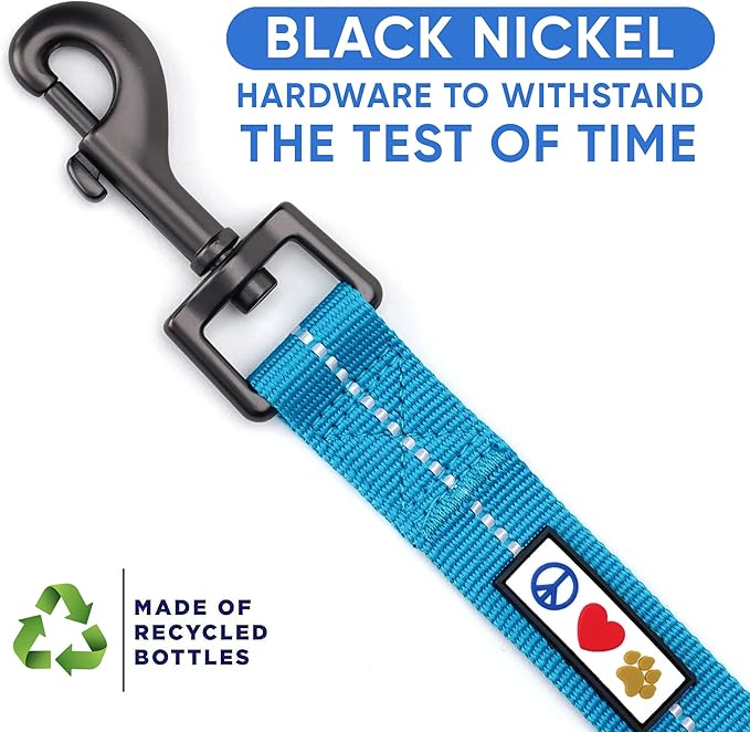 Pawtitas 6 FT Recycled Dog Leash with Reflective Stitched Thread Stitched on Side| Small Reflective Dog Leash Made from Plastic Bottles Collected from Oceans – Teal 6 ft Dog Leash