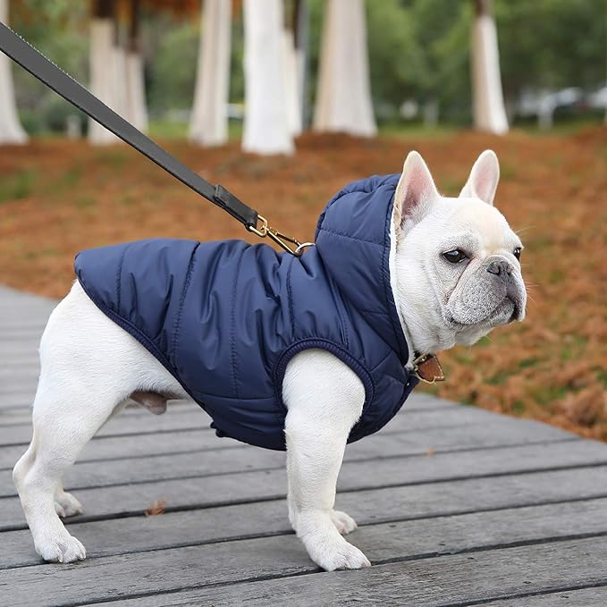Windproof Waterproof Dog Coat Fleece & Cotton Lined Warm Jacket, Cold Weather Pet Apparel Clothes Vest for Small Medium Large Dog (XL, Blue)