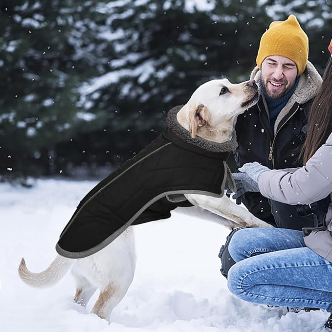 Fragralley Dog Coat Large, Waterproof Dog Jacket with Warm Fleece Lining, Adjustable Reflective Dogs Winter Coat, Turtleneck Pet Coats for Cold Weather (Black XXXL)