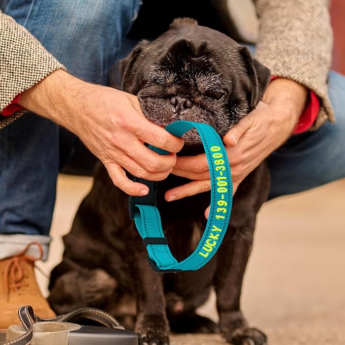 Personalized Embroidered Dog Collar - Custom Hand-Stitched Name & Number, Reflective Adjustable Pet Collar for Small/Medium/Large Dogs & Cats, Durable Nylon with Steel D-Ring (Hotpink, Small)