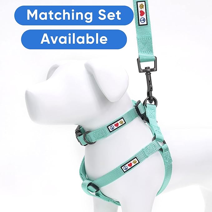 Pawtitas 6 FT Solid Color Comfortable Handle Dog Training Leash - Medium/Large, 6 ft Teal