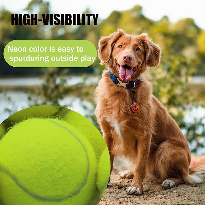 Magicorange Squeaky Tennis Ball Dog Toys 4 inch Oversize Giant Tennis Ball for Fetch Exercise, Natural Rubber Squeaky Dog Balls Training Safe (Multicolor, 4 Pack)