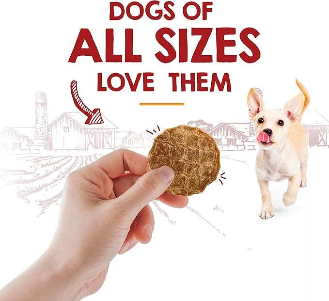 Riley's Waffles Chicken Chips - USA Sourced Chicken Dog Treats - Single Ingredient Healthy Dog Treats - Dehydrated Jerky for Dogs Made in The USA - 5.5 oz